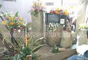 flower-show-2011 (24)